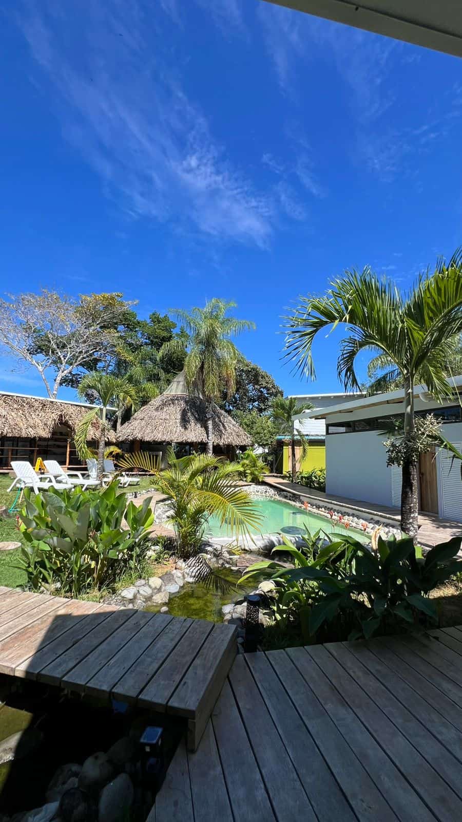 Jardín tropical con palmeras y ranchos de techo de paja